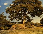 The Big Tree - 亨利·约瑟夫·哈尔皮涅斯